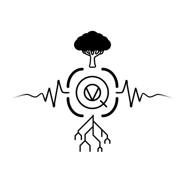 Quantum Vibrations LLC Offical Store